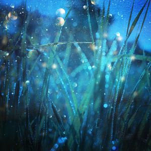 男人㮑女人妈妈儿子分钟
